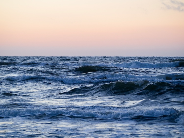 Photo by Padre_moovi on Unsplash